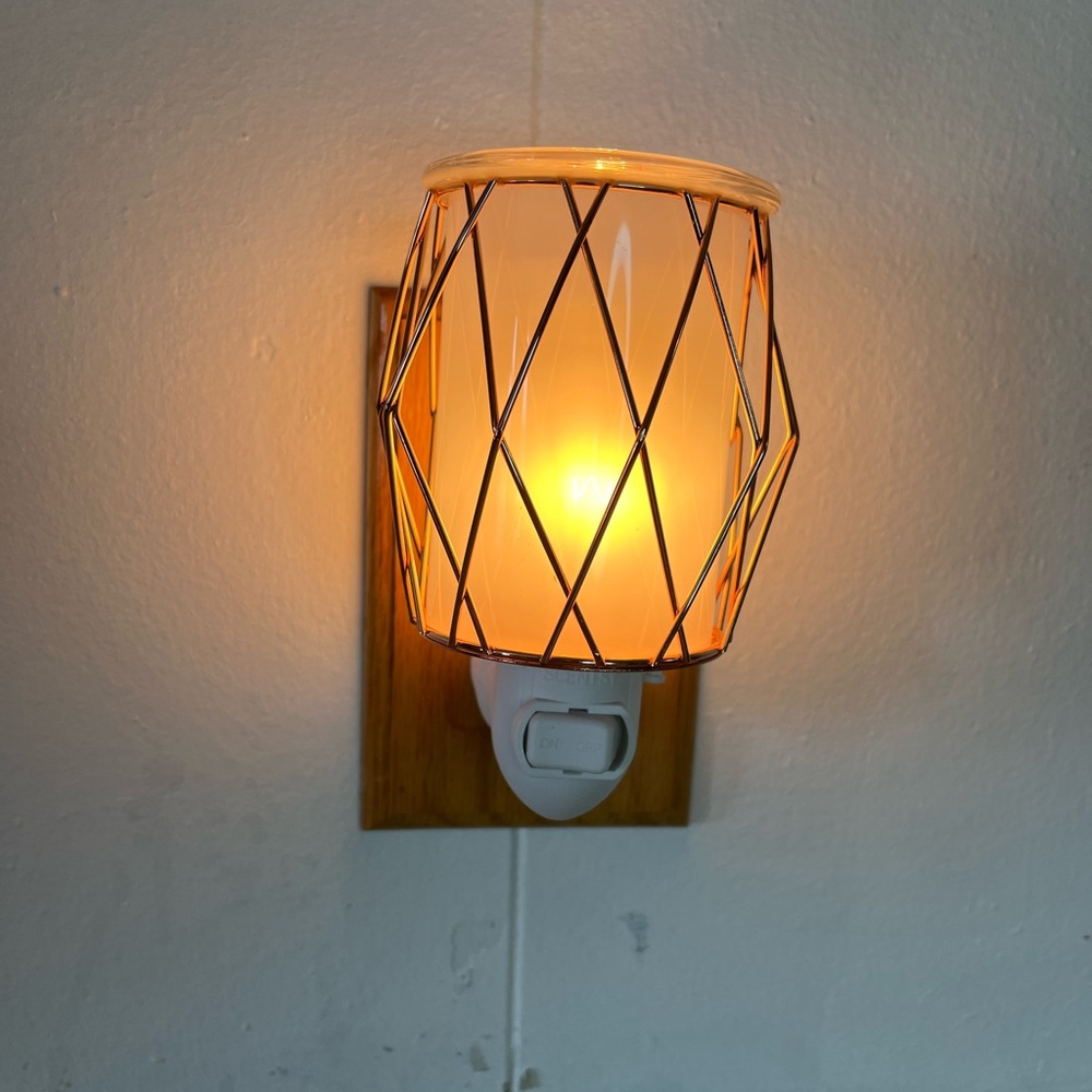 Scentsy Wire You Blushing Wax Warmer